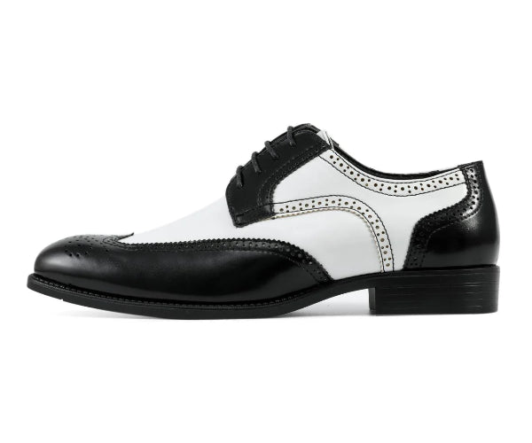 Black and white dress shoe on a white background